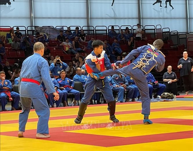 Tổ chức thành công Giải vô địch thế giới Vovinam--Việt Võ Đạo lần thứ 6 tại Pháp Tổ chức thành công Giải vô địch thế giới Vovinam--Việt Võ Đạo lần thứ 6 tại Pháp
