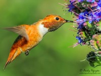 20 ca the te te duoc tai tha