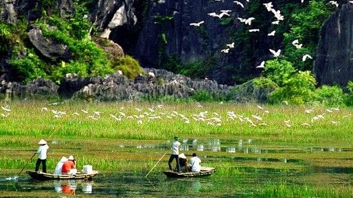 Bộ trưởng Trần Hồng Hà: Việt Nam cần phải coi đa dạng sinh học là một vấn đề đạo đức