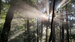 Việt Nam có thêm hai Khu dự trữ sinh quyển thế giới