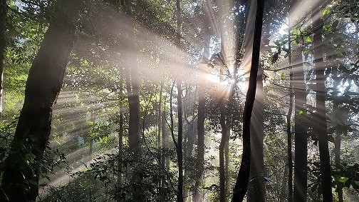 Việt Nam có thêm hai Khu dự trữ sinh quyển thế giới