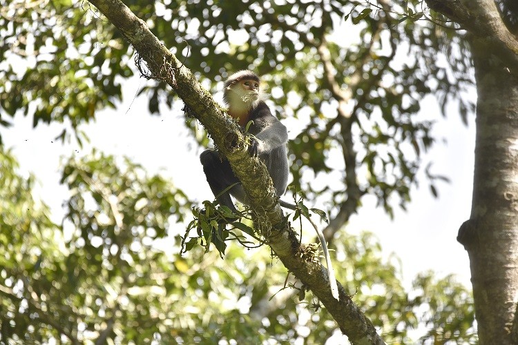 Đại sứ Việt Nam bên cạnh UNESCO: Việc công nhận khu dự trữ sinh quyển thế giới không đơn thuần chỉ là danh hiệu Đại sứ Việt Nam bên cạnh UNESCO: Việc công nhận khu dự trữ sinh quyển thế giới không đơn thuần chỉ là danh hiệu