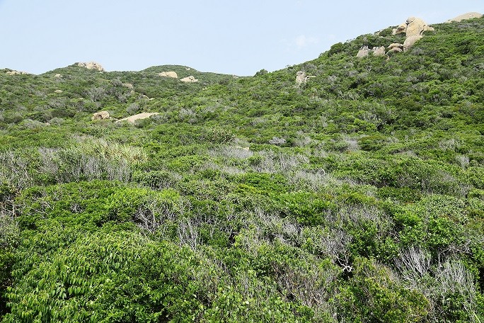 Đại sứ Việt Nam bên cạnh UNESCO: Việc công nhận khu dự trữ sinh quyển thế giới không đơn thuần chỉ là danh hiệu Đại sứ Việt Nam bên cạnh UNESCO: Việc công nhận khu dự trữ sinh quyển thế giới không đơn thuần chỉ là danh hiệu
