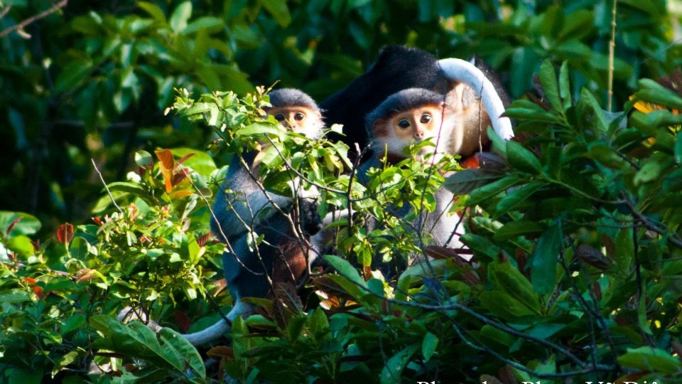 Phát huy những giá trị văn hóa các khu dự trữ sinh quyển theo hướng bền vững