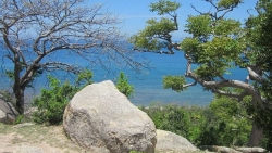 Thiên nhiên tươi đẹp và sinh động ở Khu dự trữ sinh quyển Núi Chúa