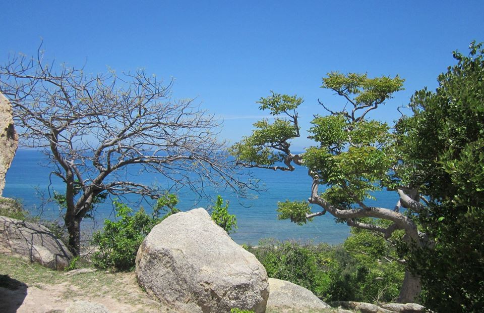 Thiên nhiên tươi đẹp và sinh động ở khu dự trữ sinh quyển Núi Chúa