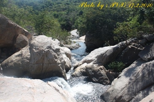 Thiên nhiên tươi đẹp và sinh động ở khu dự trữ sinh quyển Núi Chúa