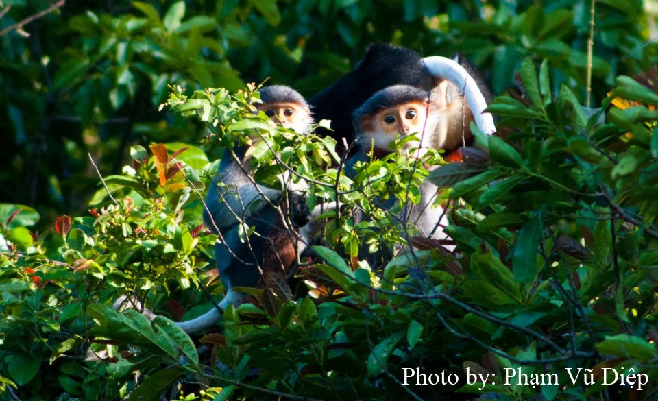 Phát huy những giá trị văn hóa các khu dự trữ sinh quyển theo hướng bền vững Phát huy những giá trị văn hóa các khu dự trữ sinh quyển theo hướng bền vững