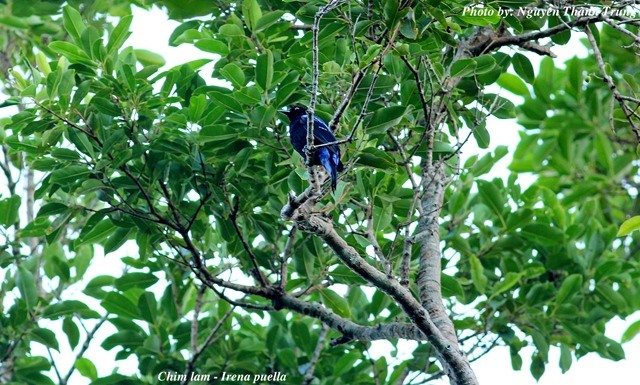 Thiên nhiên tươi đẹp và sinh động ở khu dự trữ sinh quyển Núi Chúa