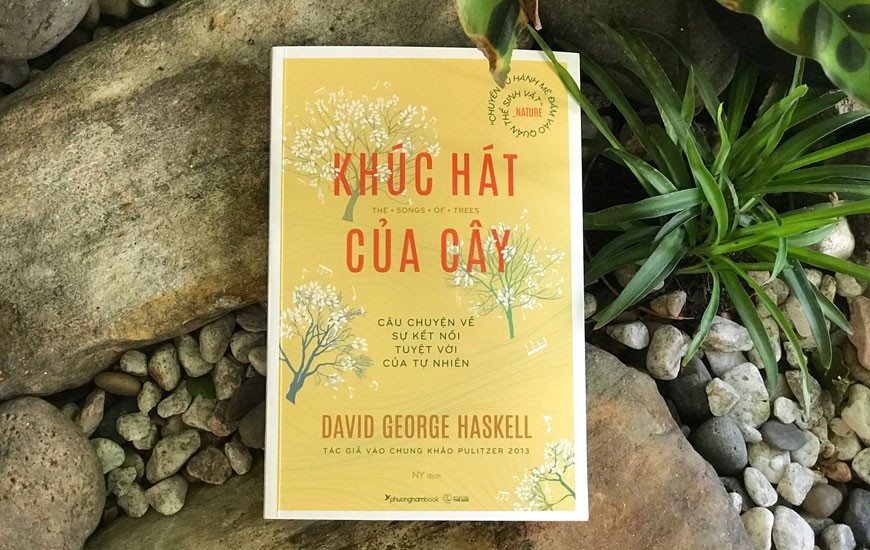 Những cuốn sách truyền tải năng lượng tích cực