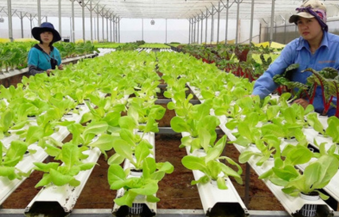 Công nghệ cao – giải pháp cho biến đổi khí hậu