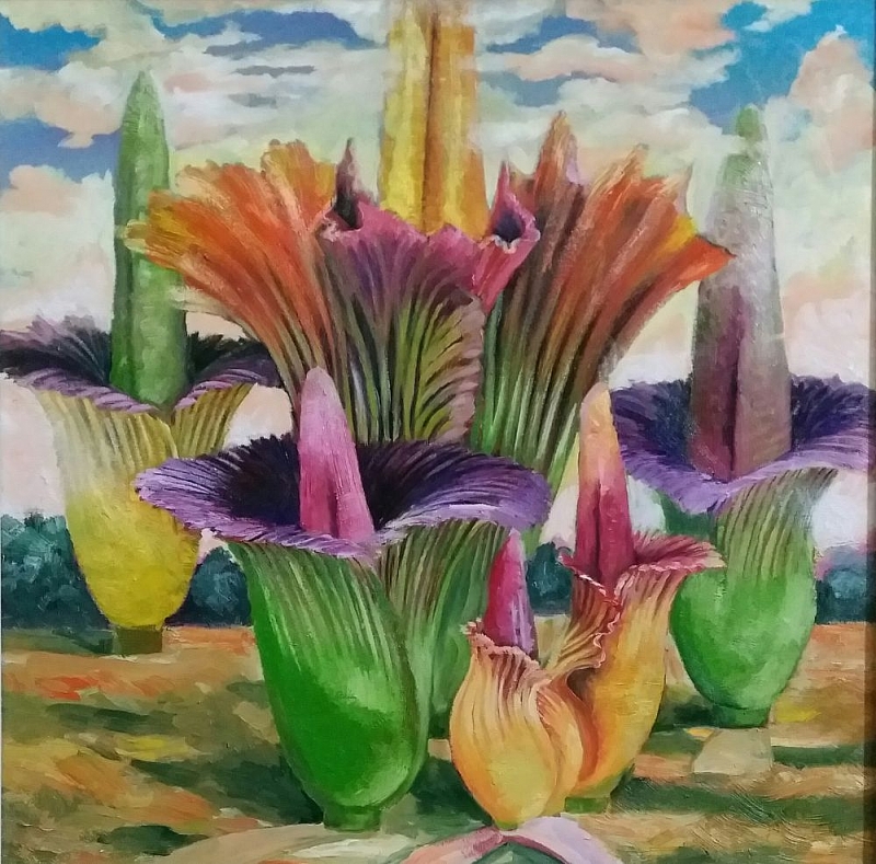 quoc hoa cac nuoc asean cung khoe sac cung hoa ha noi