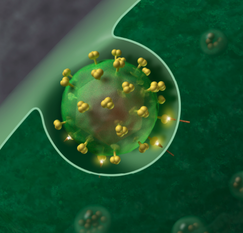 EU bật đèn xanh cho liệu pháp điều trị HIV mới