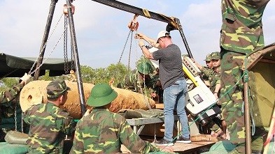 Mầm xanh đến từ những dự án phi chính phủ của Mỹ