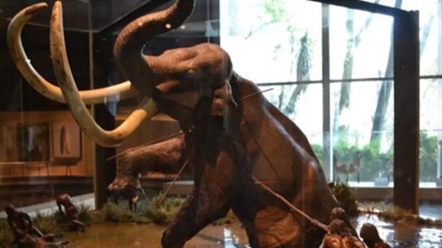 Mexico gây ấn tượng với việc xây dựng Bảo tàng Voi ma mút trong sân bay quốc tế