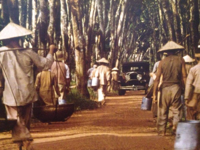 Ngắm Việt Nam qua những thước phim nước ngoài