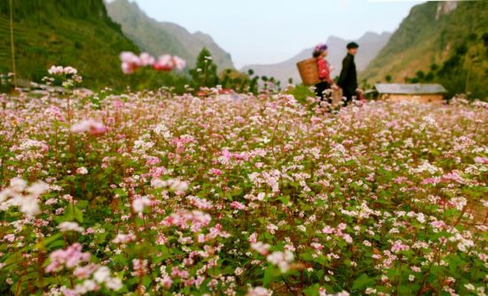 ngay hoi ton vinh nhung gia tri van hoa truyen thong