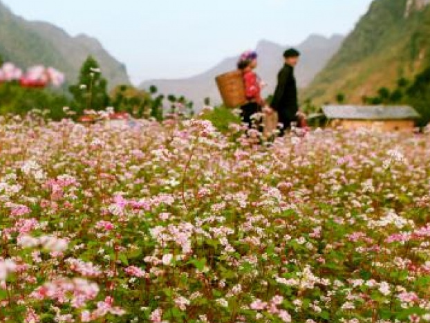 Ngày hội tôn vinh những giá trị văn hóa truyền thống