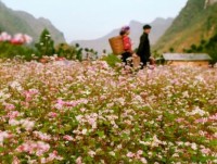 Ngày hội tôn vinh những giá trị văn hóa truyền thống