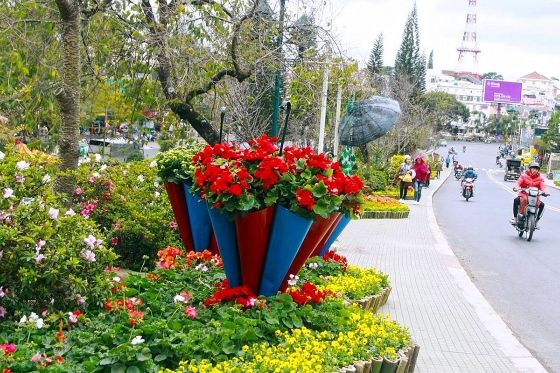 Hoa hậu Thế giới Megan Young sẽ là khách mời đặc biệt Festival Hoa Đà Lạt 2019 