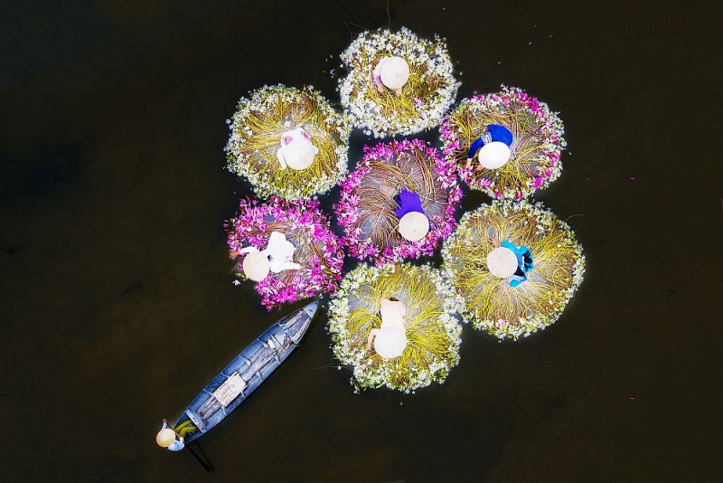 Ngắm trọn bộ ảnh tuyệt đẹp về đa dạng văn hóa của Việt Nam 'Mãn nhãn' với bộ ảnh tuyệt đẹp về sự đa dạng văn hóa của Việt Nam