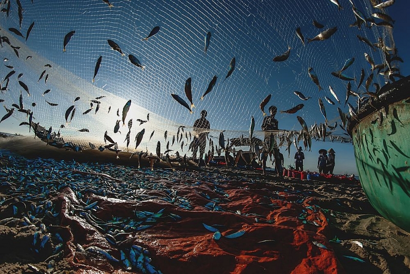 Ngắm trọn bộ ảnh tuyệt đẹp về đa dạng văn hóa của Việt Nam 'Mãn nhãn' với bộ ảnh tuyệt đẹp về sự đa dạng văn hóa của Việt Nam