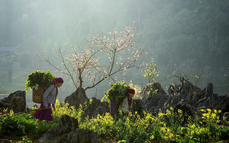 Ngắm trọn bộ ảnh tuyệt đẹp về đa dạng văn hóa của Việt Nam 'Mãn nhãn' với bộ ảnh tuyệt đẹp về sự đa dạng văn hóa của Việt Nam