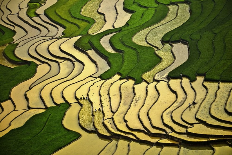 Ngắm trọn bộ ảnh tuyệt đẹp về đa dạng văn hóa của Việt Nam 'Mãn nhãn' với bộ ảnh tuyệt đẹp về sự đa dạng văn hóa của Việt Nam