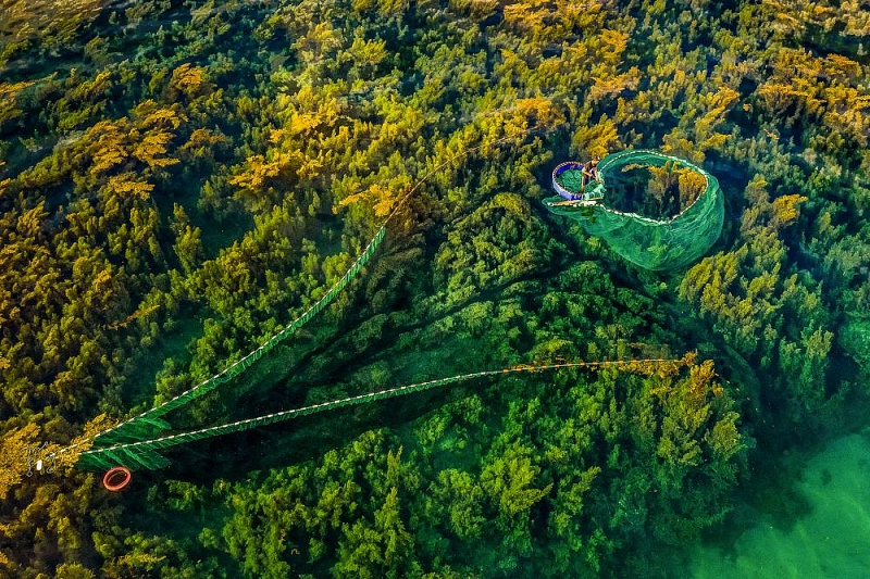 Ngắm trọn bộ ảnh tuyệt đẹp về đa dạng văn hóa của Việt Nam 'Mãn nhãn' với bộ ảnh tuyệt đẹp về sự đa dạng văn hóa của Việt Nam