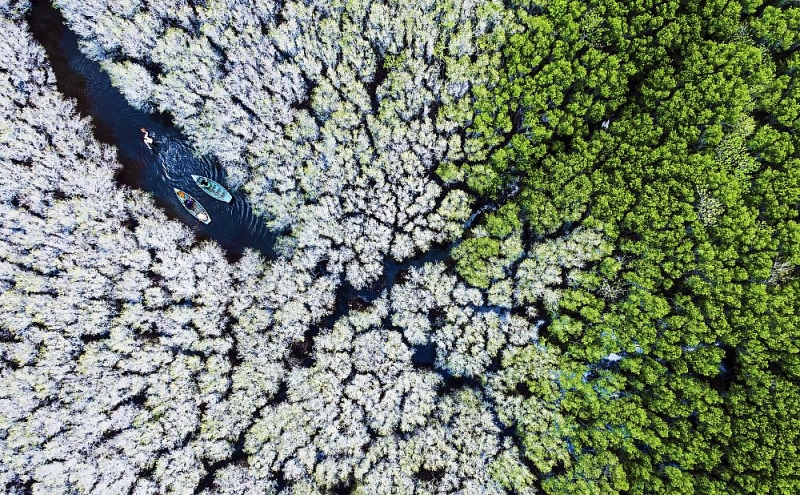 Ngắm trọn bộ ảnh tuyệt đẹp về đa dạng văn hóa của Việt Nam 'Mãn nhãn' với bộ ảnh tuyệt đẹp về sự đa dạng văn hóa của Việt Nam