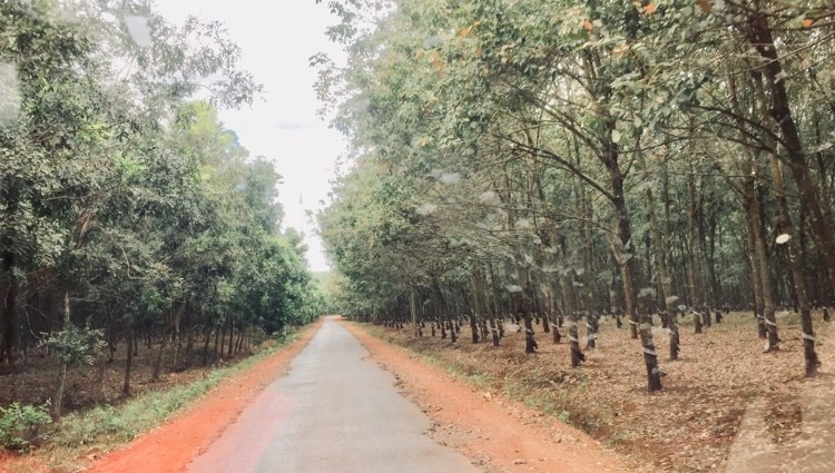 Ấn tượng về miền đất đỏ Tây Nam