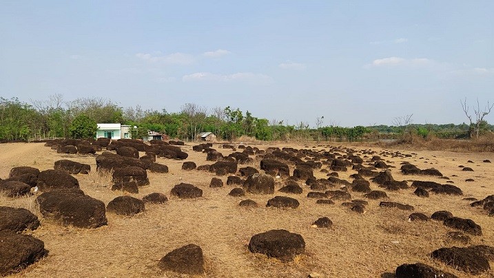 Ấn tượng về miền đất đỏ Tây Nam