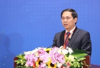 hoi nghi giao ban truc tuyen cong tac phi chinh phu nuoc ngoai