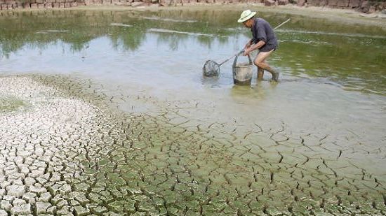 Bàn giải pháp vượt qua các thách thức của biến đổi khí hậu tại Việt Nam