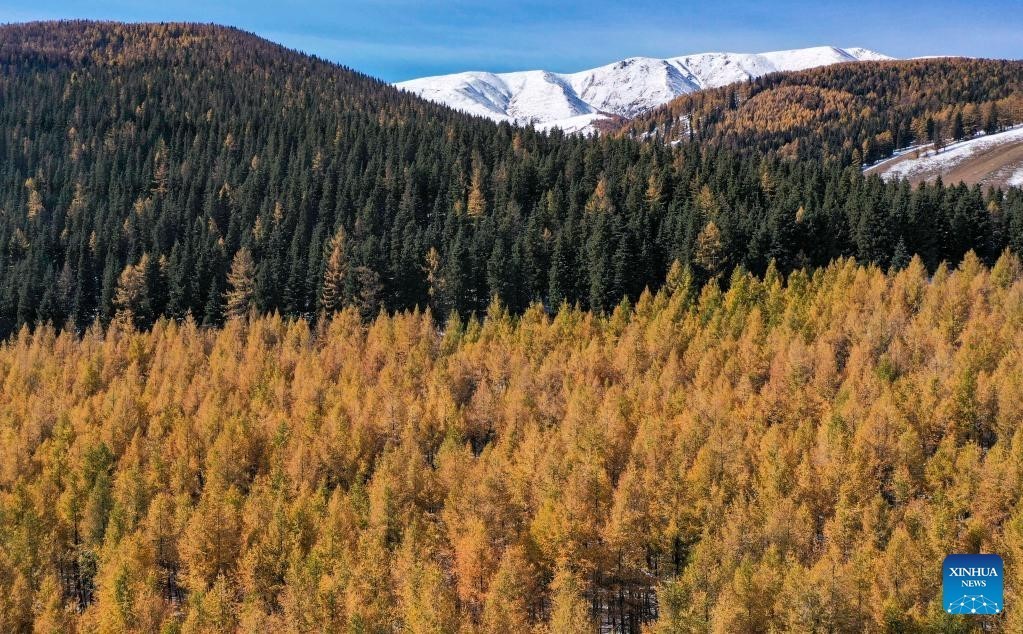 Khung cảnh mùa thu 'vắt ngang qua' Trung Quốc