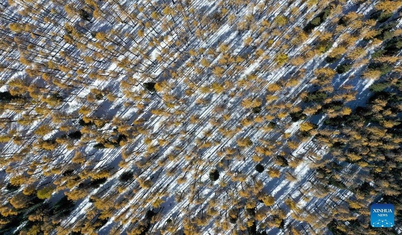 Khung cảnh mùa thu 'vắt ngang qua' Trung Quốc Khung cảnh mùa thu 'vắt ngang qua' Trung Quốc