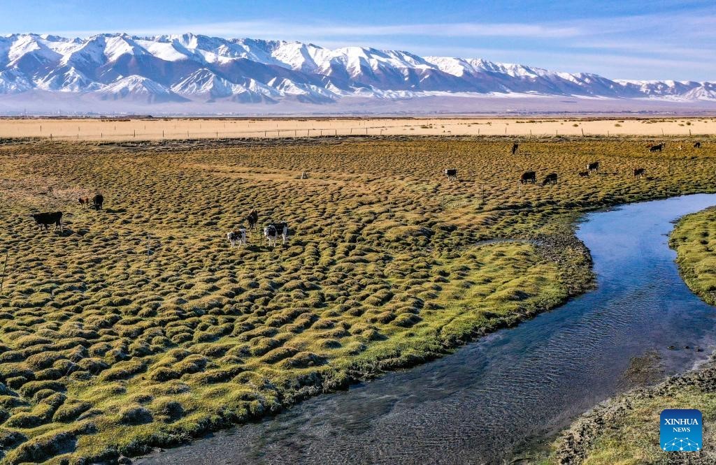 Khung cảnh mùa thu 'vắt ngang qua' Trung Quốc Khung cảnh mùa thu 'vắt ngang qua' Trung Quốc