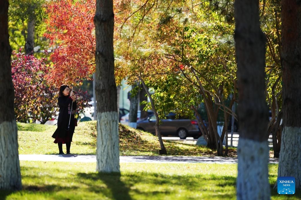 Khung cảnh mùa thu 'vắt ngang qua' Trung Quốc Khung cảnh mùa thu 'vắt ngang qua' Trung Quốc