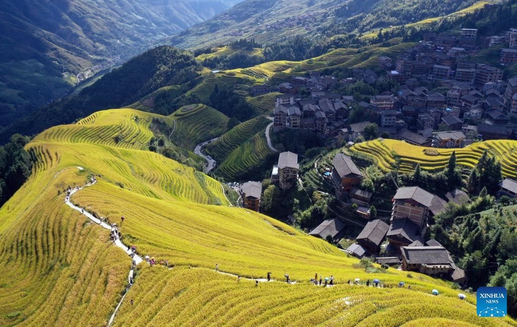 Khung cảnh mùa thu 'vắt ngang qua' Trung Quốc Khung cảnh mùa thu 'vắt ngang qua' Trung Quốc
