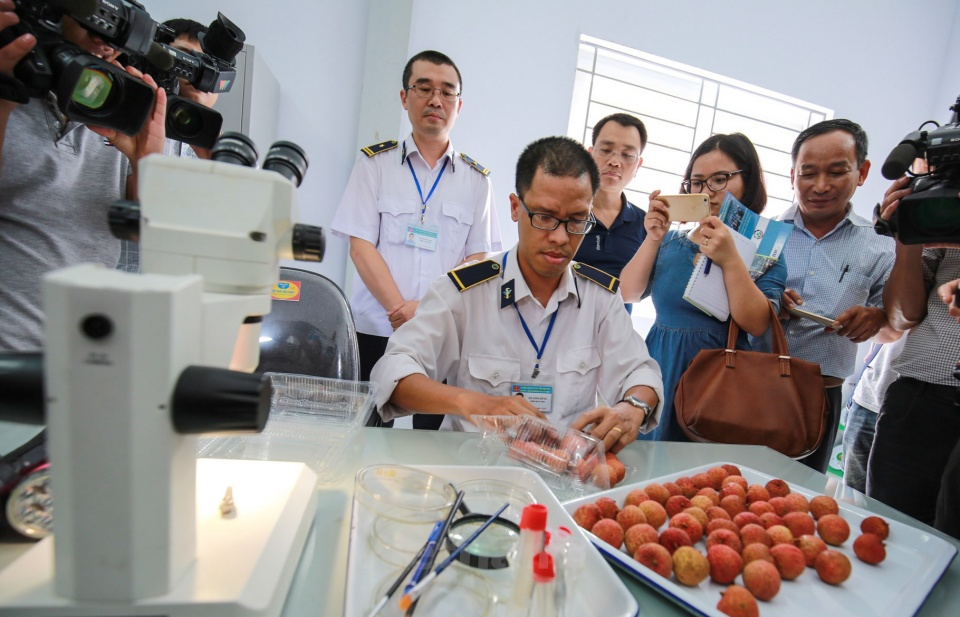 Nâng cao chất lượng sản phẩm xuất khẩu sang thị trường Australia, New Zealand