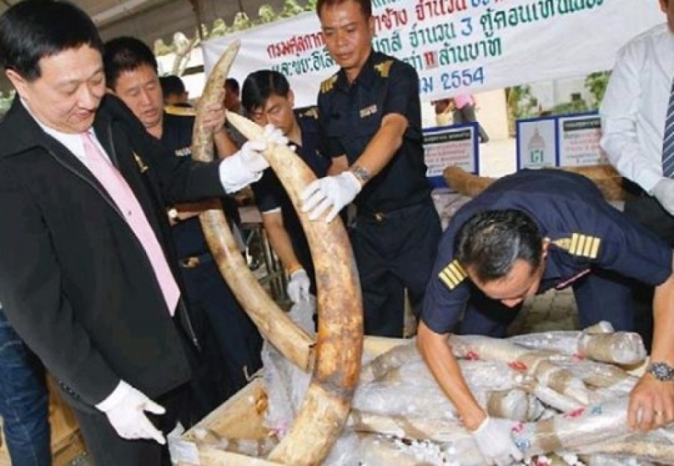 Tội phạm môi trường - vấn nạn thứ tư của hành tinh toi pham moi truong van nan thu tu cua hanh tinh