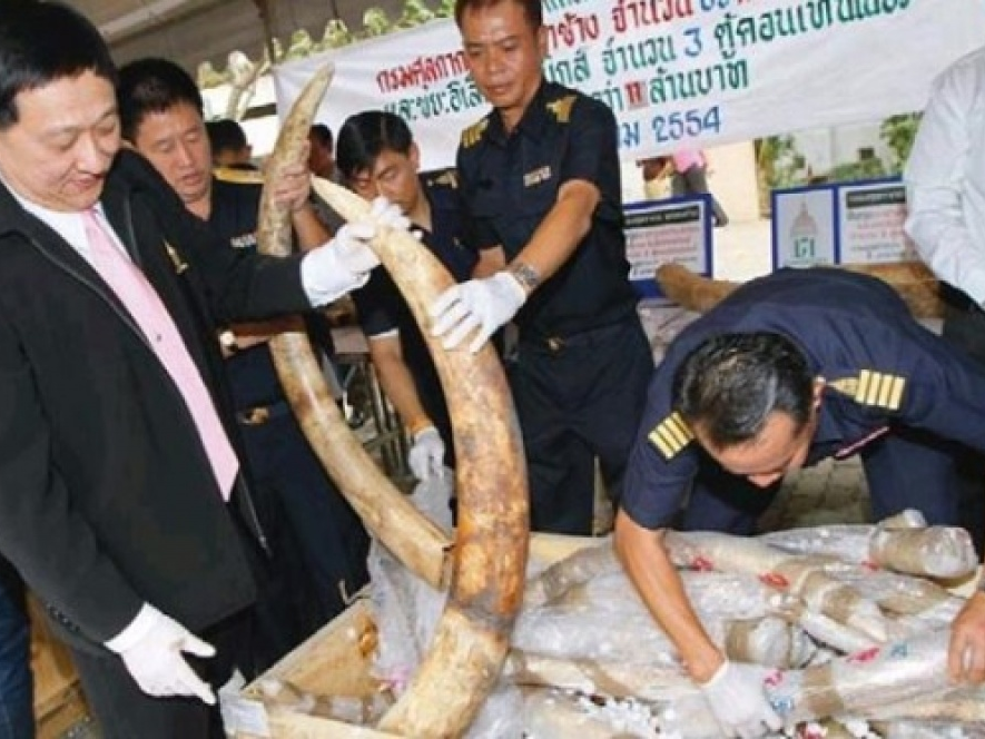 Tội phạm môi trường - vấn nạn thứ tư của hành tinh