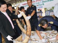 Tội phạm môi trường - vấn nạn thứ tư của hành tinh