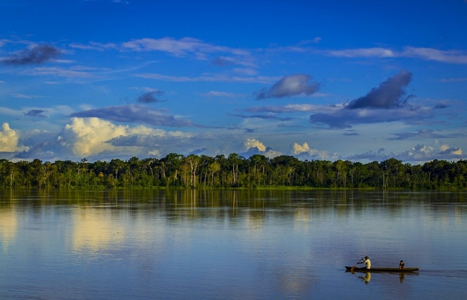 Diện tích rừng nguyên sinh Amazon ngày càng bị thu hẹp