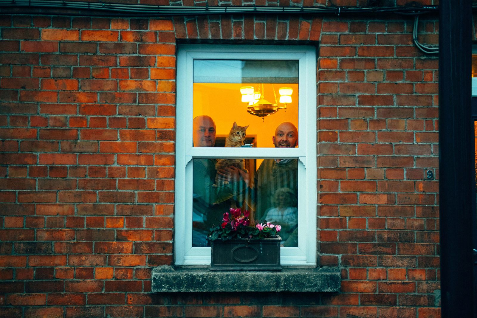 covid 19 cuoc song dang sau nhung khung cua so thoi cach ly xa hoi