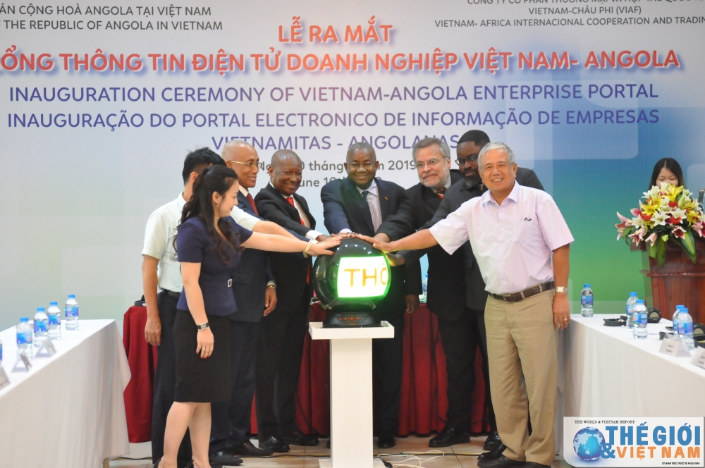 ra mat cong thong tin dien tu doanh nghiep viet nam angola
