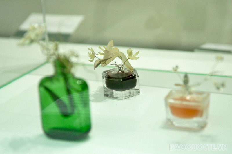 Triển lãm nghệ thuật đương đại 'Maya' kỷ niệm 50 năm thiết lập quan hệ ngoại giao Việt Nam-Pakistan