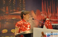 le hoi singapore lan dau tien duoc to chuc tai viet nam