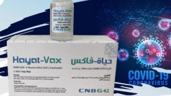 Covid-19 ở Việt Nam sáng 11/9: Giảm đáng kể số ca tử vong, TP. Hồ Chí Minh từng bước mở cửa, Hà Nội vào chiến dịch tiêm phủ vaccine