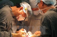 nhung dau an sau 5 nam cam quyen cua thu tuong abe